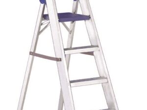 Scala per utilizzo professionale intensivo Regina +